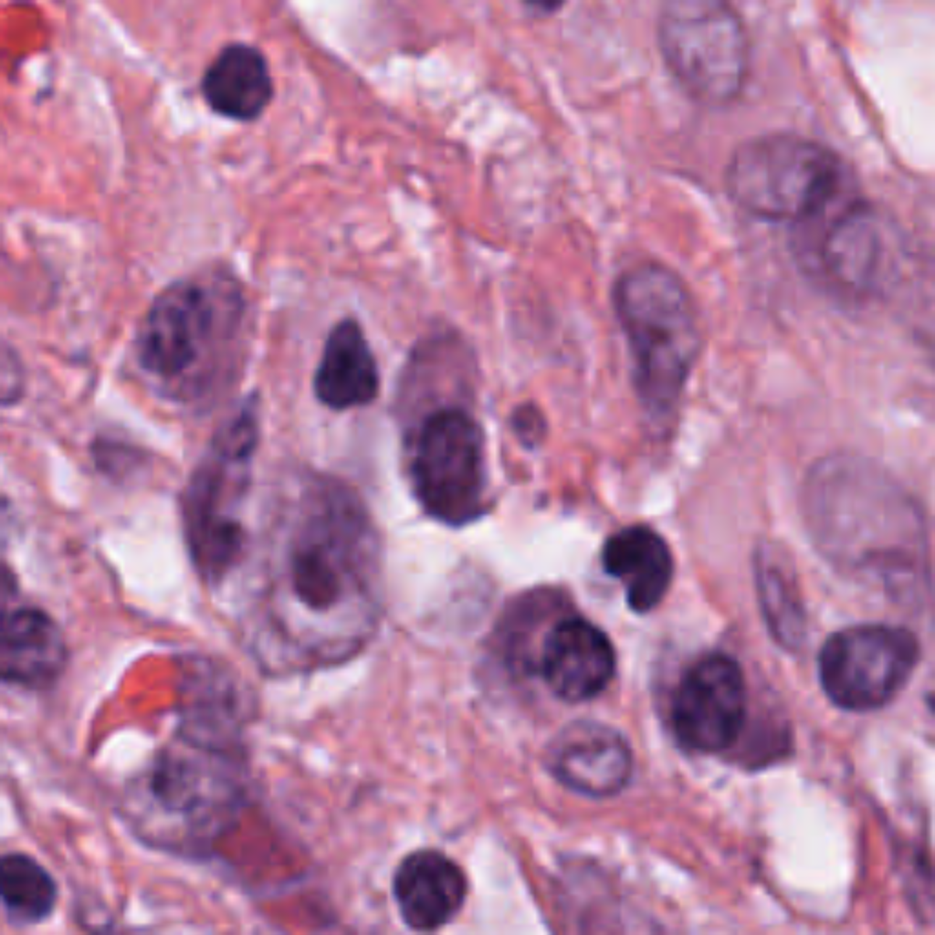 Original Nuclei